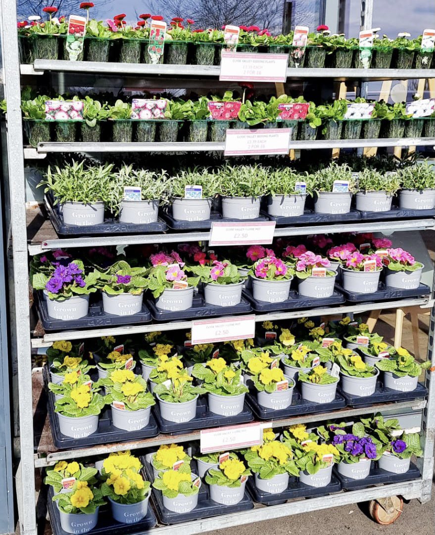 Davids_Kitchen's tweet photo. Hands up who has been in the garden today? 🙋‍♀️We have plants, compost and gro-bags in all stores 🪴 https://t.co/zbRlMZNgup