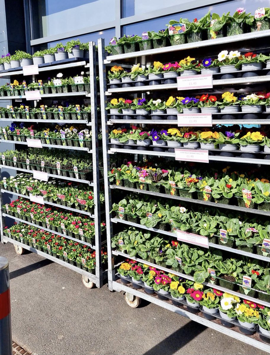 Davids_Kitchen's tweet photo. Hands up who has been in the garden today? 🙋‍♀️We have plants, compost and gro-bags in all stores 🪴 https://t.co/zbRlMZNgup