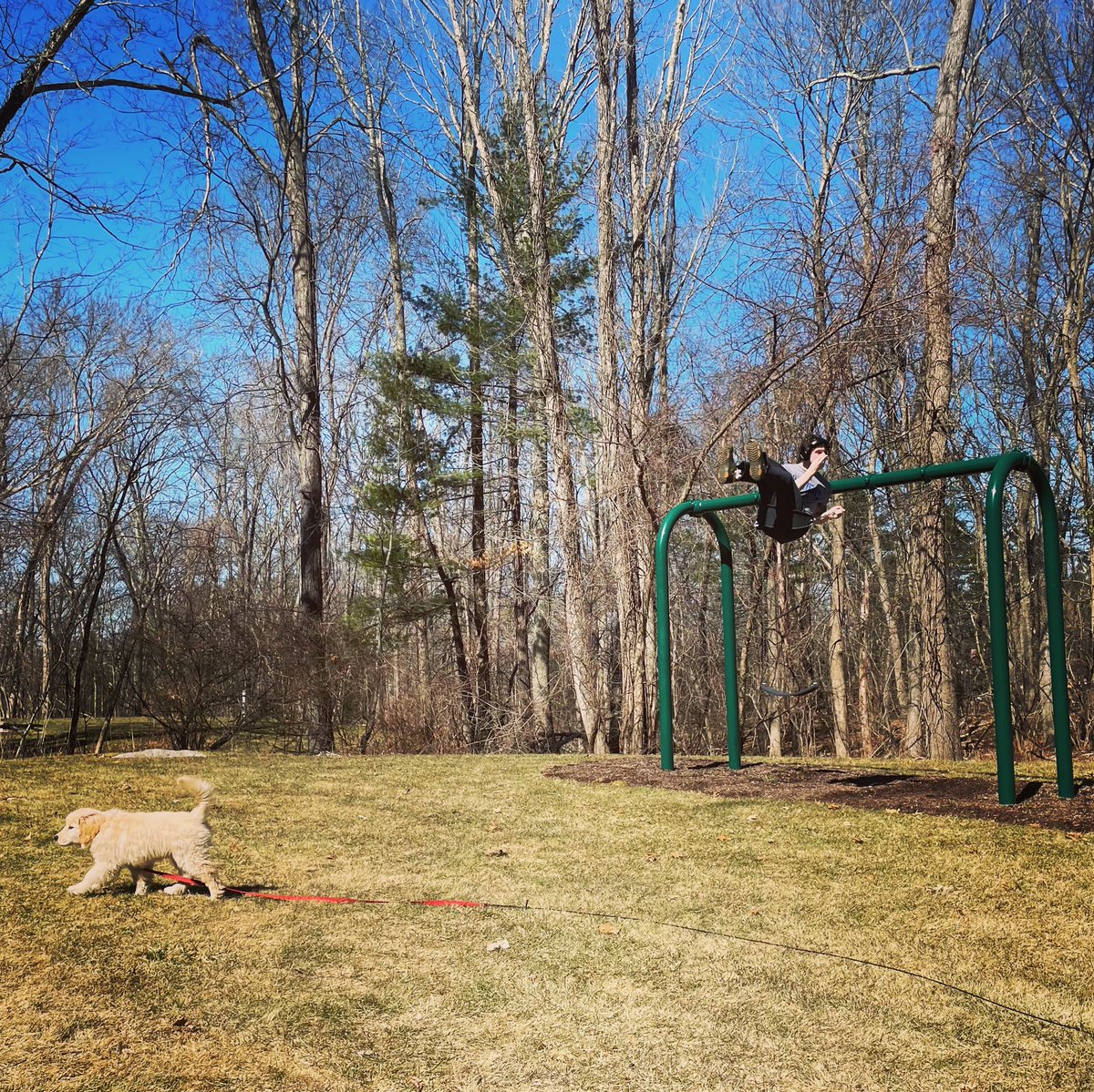 Autismville's tweet photo. Blue sky, swinging high. 🌿💙🐾🧩 #willowsworld #autism https://t.co/30v8X90mMl
