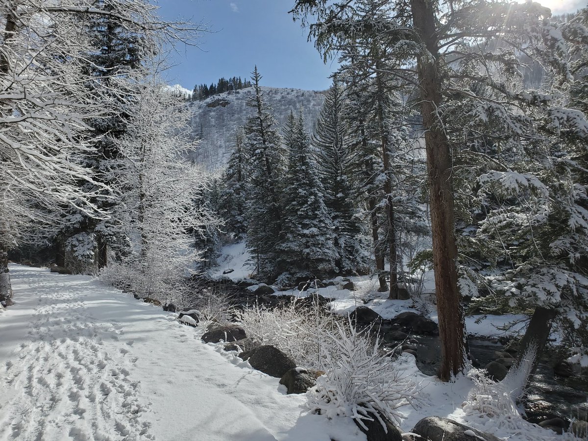 julieadriansen's tweet photo. Hello Spring
#vail
#vaillife https://t.co/mLF3RJMxGi