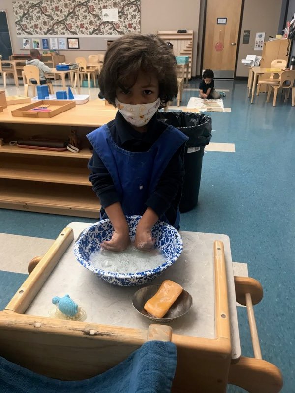 Annie Fisher Montessori tweet media