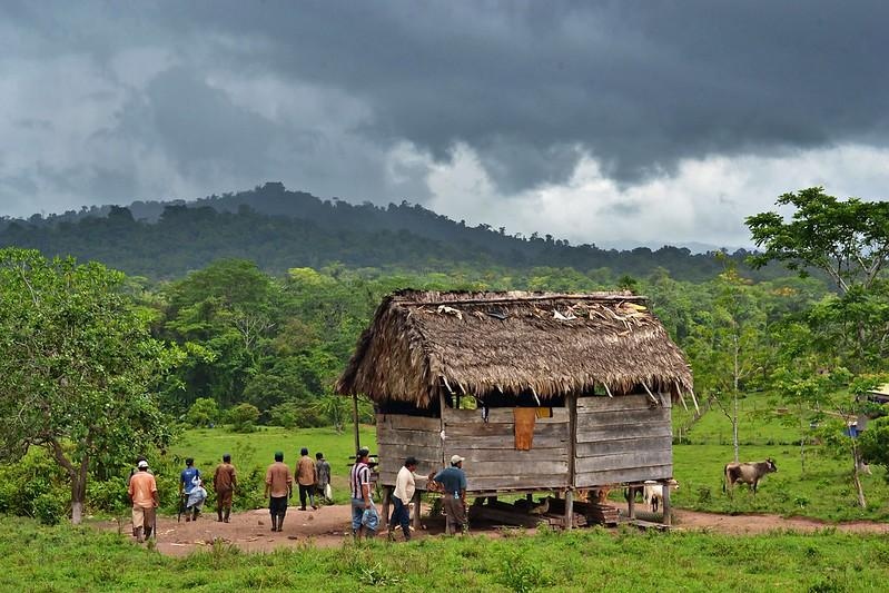 MiskituThe's tweet photo. Like many of the murders of indigenous people, the death of four community leaders in Bosawas last month are often directly linked to attempts by paramilitary groups to take over nature reserves to “take advantage of the land and fauna,”. 

Source: https://t.co/4rSizSgSSy https://t.co/tQrVRN2LCm