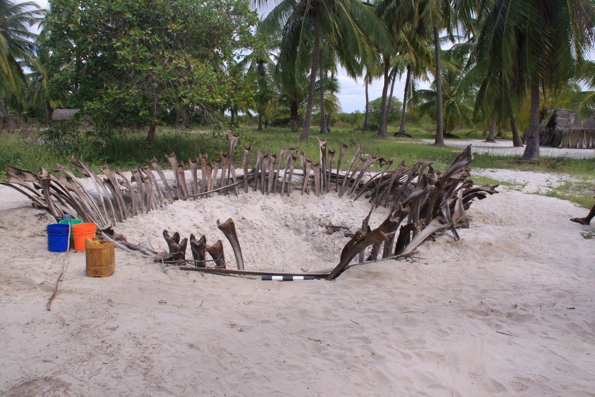 EJDPollard's tweet photo. #WorldWaterDay here are some of the wells recorded on survey around #Angoche in Mozambique. Small fish were in well at mosque on mainland. On islands they are dug into sand. Some lined with coconut leaves https://t.co/JQc1xAMzds
