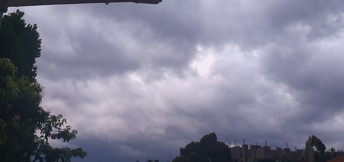 inakasiita1's tweet photo. Thick heavy clouds indicating likelihood of a rainy evening (as seen from my area code #Lungujja) Let's all keep 📢  alert #ClimateAction #climateactioninyourarea https://t.co/HI372szx1C