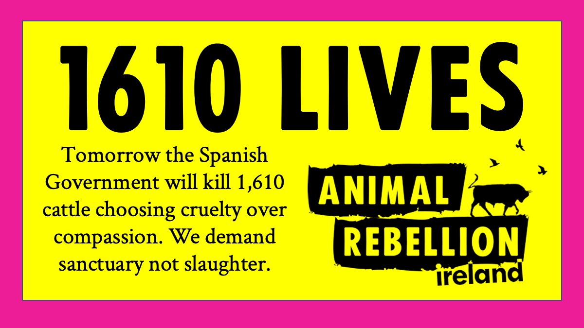 Tomorrow, the Spanish Government will choose cruelty over compassion, killing 1,610 cattle who have spent 3 horrific months at sea. We demand sanctuary not slaughter. 

#Elbeik #sanctuarynotslaughter #savetheelbeikcows #compassionnotcruelty

@mapagob