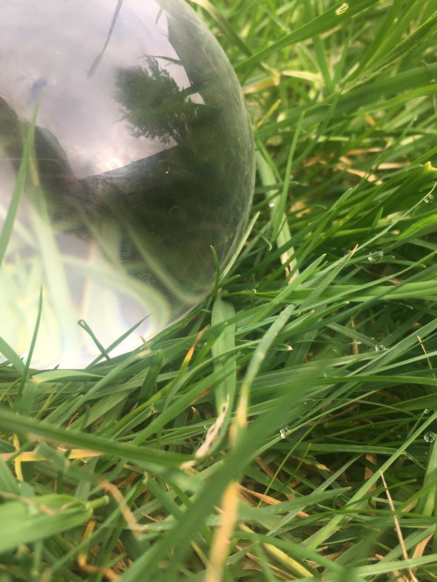 Molly 7BLA entry to the St Patrick photo competition. Using a photography glass globe. <a href="/sptacademy/">Stockport Academy</a>