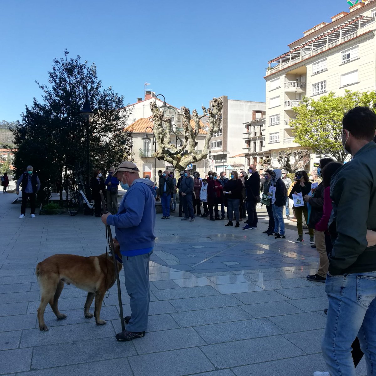 ACEcangas's tweet photo. Hoxe na mobilización contra o Plan Forestal do PP: Por un monte galego con futuro✊🌳.
#MonteGalego #Cangas #Hio #Darbo #Aldán #Coiro https://t.co/2FskW5IKM0