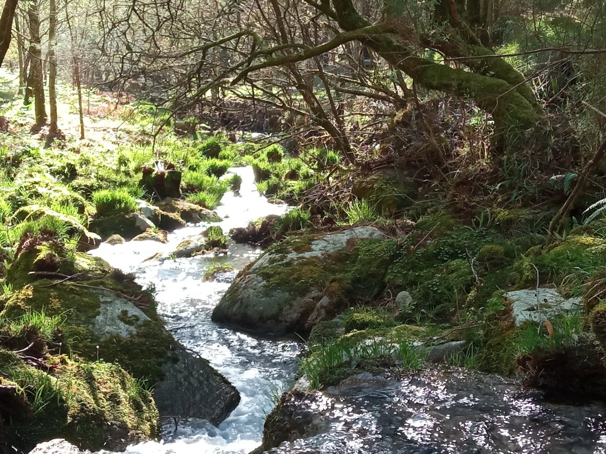 mino_baixo's tweet photo. Paseo dominical polo #MonteAloia en #Tui, disfrutando do son da #natureza
#Paraiso #BaixoMiño #RiasBaixas #Pontevedra #Galicia #Galiza https://t.co/iFjAxPk6t6