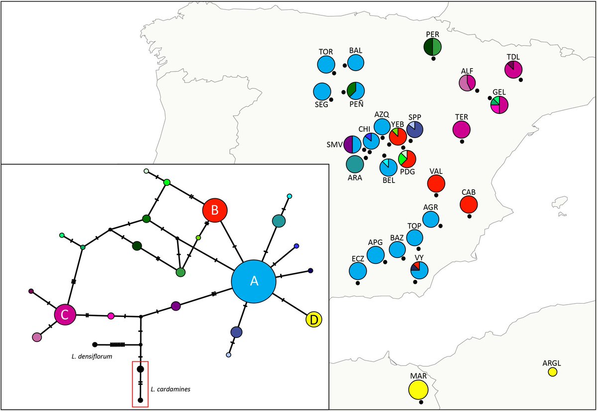 biodiversos.urjc tweet media