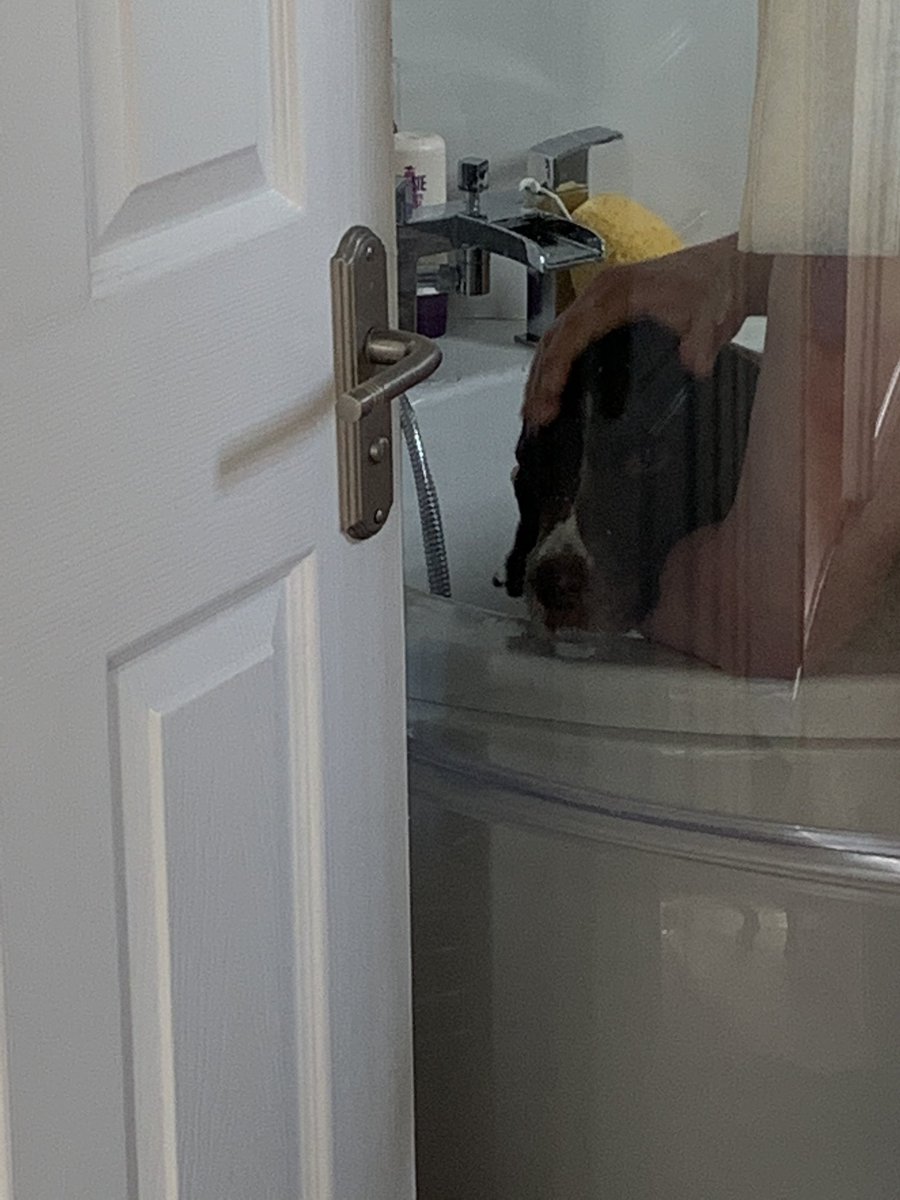 Clara Cluck tweet media