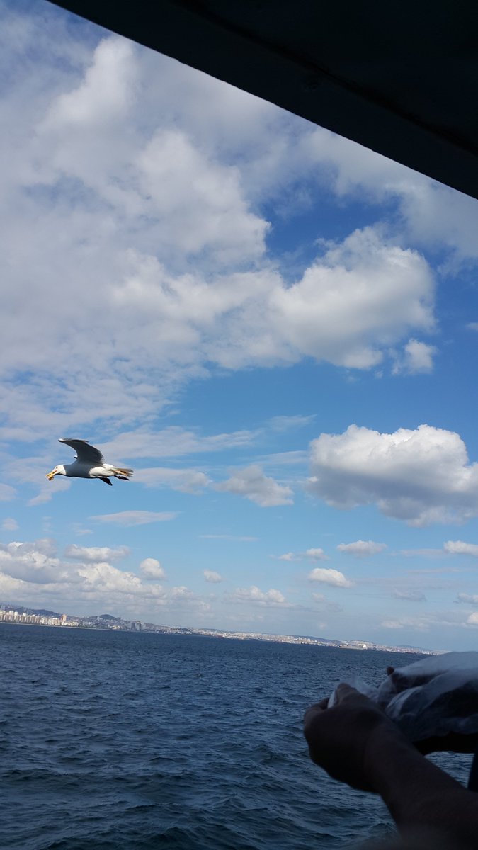 FiTarihindE's tweet photo. Mutlu olmayı bilen insanlara... https://t.co/OPk4I1mI4X