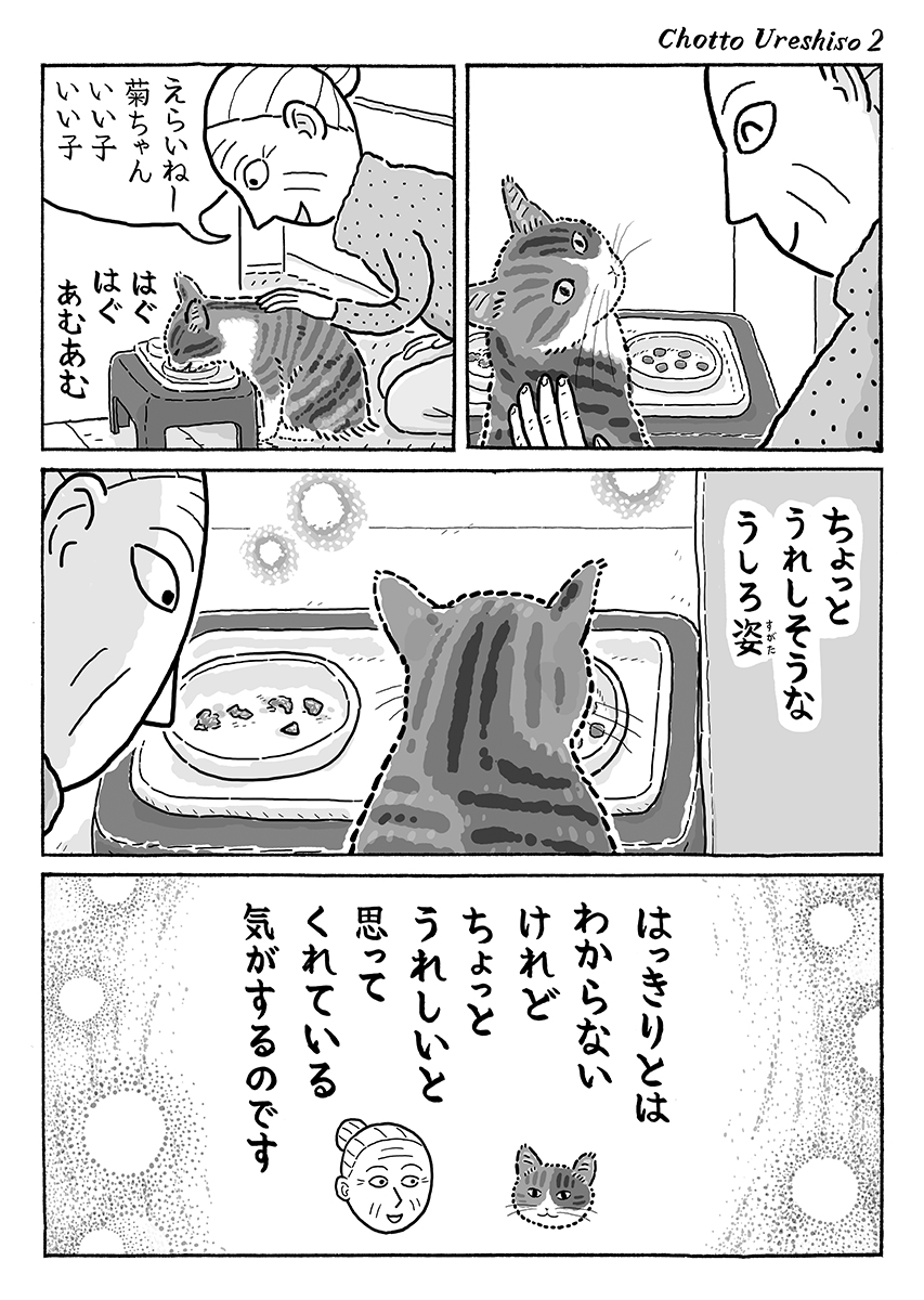 2ページ猫漫画「ちょっとうれしそう」 #猫の菊ちゃん 