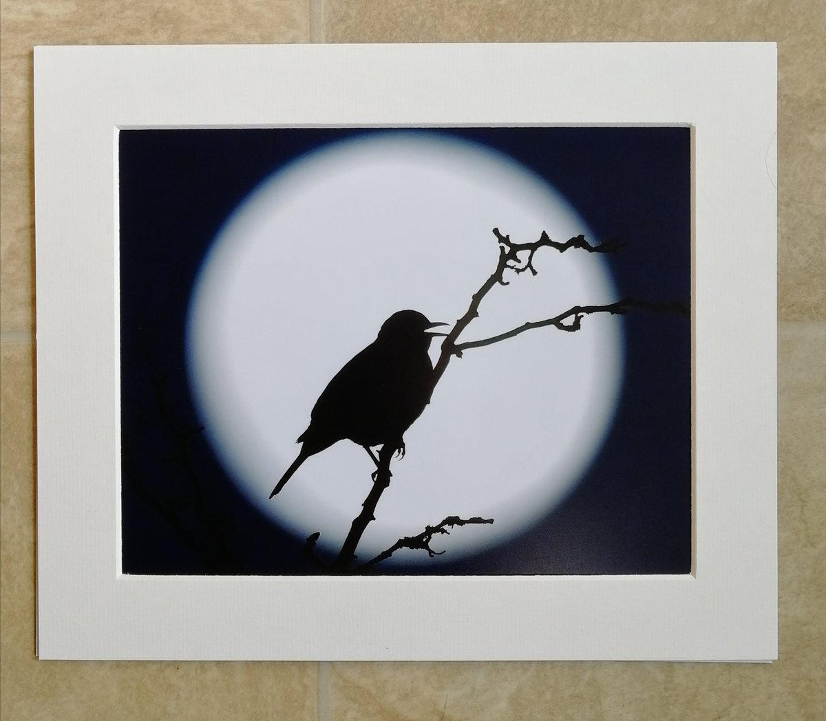 'Blackbird Moon' 10x8 mounted print. You can buy it here; https://www.carlbovis.com/product-page/blackbird-moon-10x8-mounted-print 