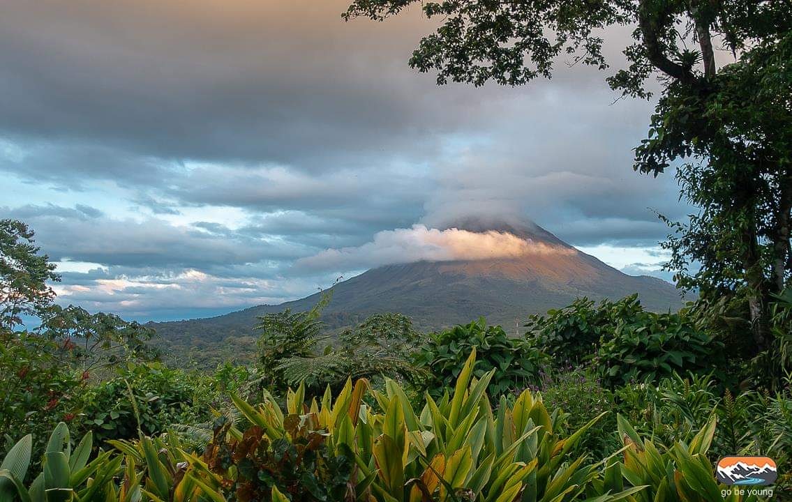 Go_Be_Young's tweet photo. Planning a trip to Costa Rica?  Check out our 1-week travel itinerary and take the stress out of researching.  https://t.co/PtjWmmvmj3.  #costaricatravel #costaricavacation #costarica https://t.co/adZ0G7zYHu