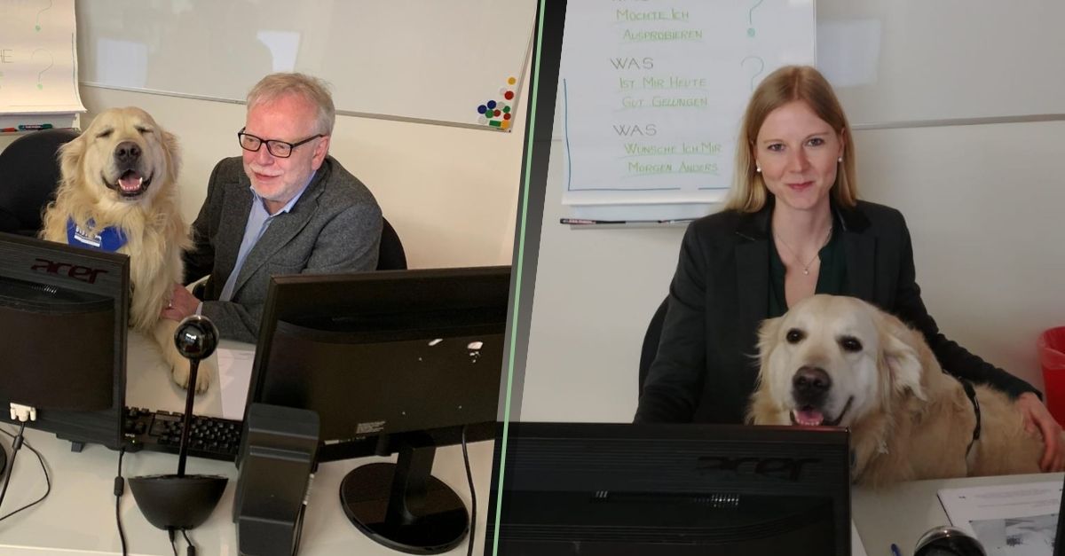 workisfaction's tweet photo. RT @BV_Buerohund: Noch zwei Tage können Sie 165 Euro sparen. 🙂

Melden Sie sich jetzt zur Ausbildung zum Integrationsexperten am 14. bis 16. April an.

https://t.co/vyw1tHuMj5

#Bürohund #Recruiting #NewWork #Ausbildung #Changeprozess #Personal #Fachkrä… https://t.co/HVUc6pkRR3