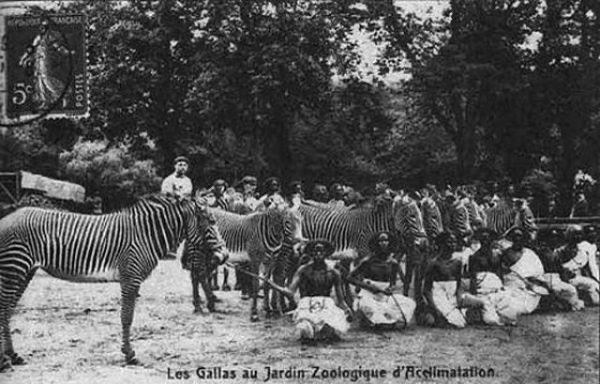 Africans were kidnapped from Africa and brought to be exhibited in the human zoos and many of them died quickly. The Human Zoo died out after WW II. Oddly it was Hitler who first banned them. The last was in Belgium in 1958.