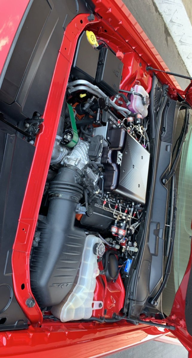 The Texas Devil (@the_texas_devil) on Twitter photo 