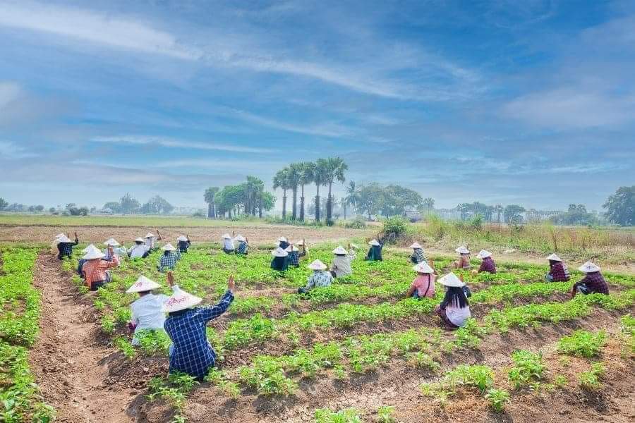 WLP58513623's tweet photo. Anytime.... anywhere..in BURMA..
Reject military coup.. https://t.co/3wENLqNh1n