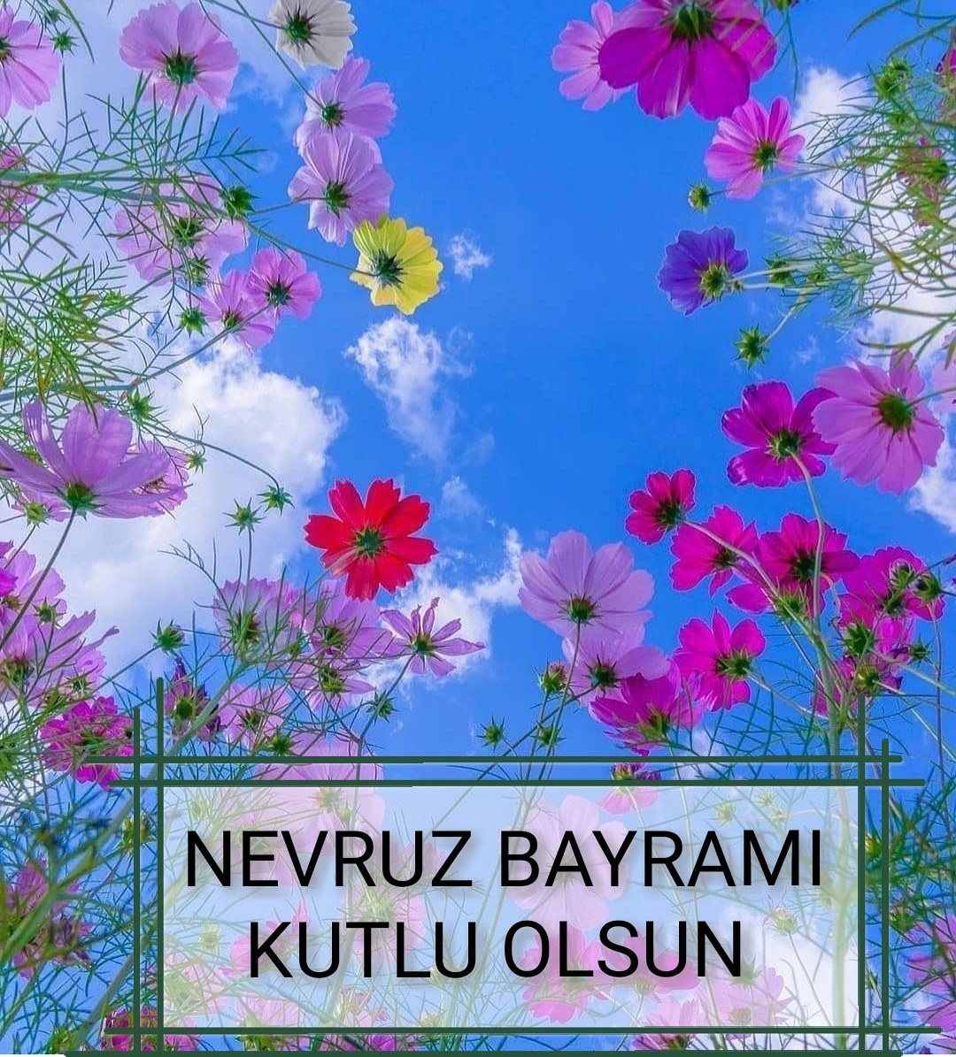 Baharın müjdecisi, Orta Asya'dan Anadolu'ya tüm coğrafyamızın bu güzel günü milletimize bereket getirsin.
<a href="/tcmeb/">Millî Eğitim Bakanlığı</a> <a href="/ziyaselcuk/">Ziya Selçuk</a> <a href="/aylinsengunt/">Doç. Dr. Aylin Şengün Taşçı</a> <a href="/istanbulilmem/">İstanbul İl Millî Eğitim Müdürlüğü</a> <a href="/memleventyazici/">Levent Yazıcı</a> @serkangur_ist <a href="/Basaksehir_Mem/">Başakşehir İlçe Millî Eğitim Müdürlüğü</a> <a href="/ahmetcoskun6134/">AHMET COSKUN</a> <a href="/cay/">Cay</a>.zekeriya