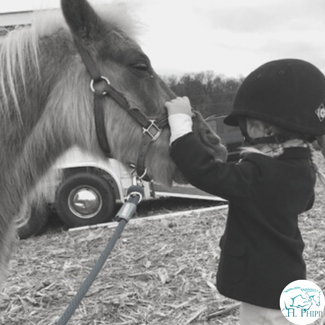 PhippsLlc's tweet photo. Check it out! The youngest of #equestrians understand the importance of open airways! Have you thought about #saltvaportherapy for your equine athlete? 
.
.
.
.
#breathebetter #saltvaportherapy #runfaster #openairways #horses #horse #rider https://t.co/0V8MGmdyMA
