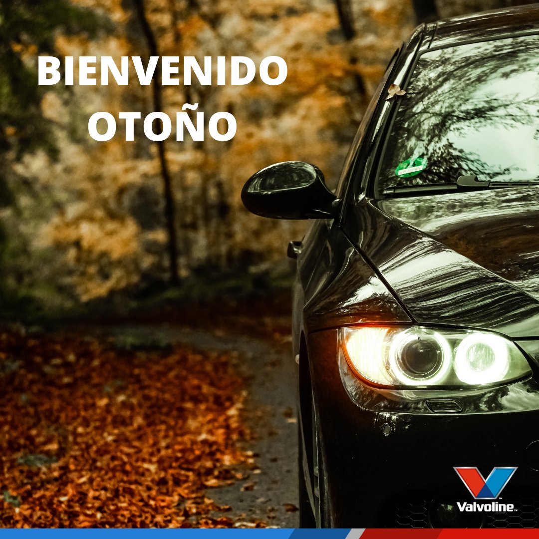 ValvolineARG's tweet photo. Feliz otoño 🍁 🍂 🍃

#valvolineargentina #originalmotoroil https://t.co/ZG8ufvr3I8