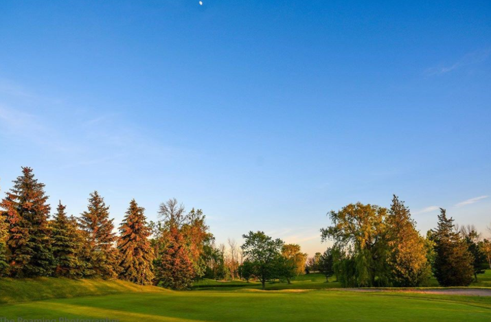 Beechwood Golf & Social House tweet media