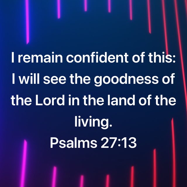 bible.com/111/psa.27.13.…