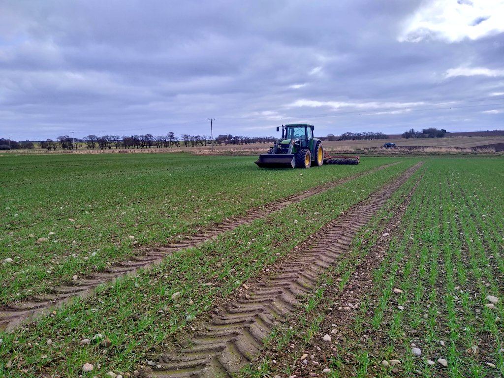 vaderbogger's tweet photo. Rolling the last 2 fields from last year. #LGSkyscraper and #SYInsistor side by side. So far Indicator slower our of the blocks and #Peelywally in comparison. It will be interesting to watch this one. https://t.co/4UqgtCifN8