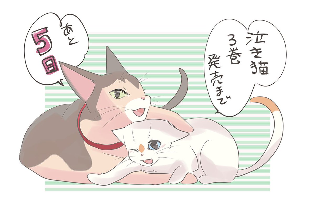 泣き猫、コミカライズの最終巻の発売まであと5日です!

#泣き猫
#泣きたい私は猫をかぶる 

https://t.co/Aqgv89RjUD 