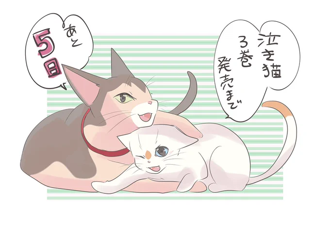 泣き猫、コミカライズの最終巻の発売まであと5日です!

#泣き猫
#泣きたい私は猫をかぶる 

https://t.co/Aqgv89RjUD 