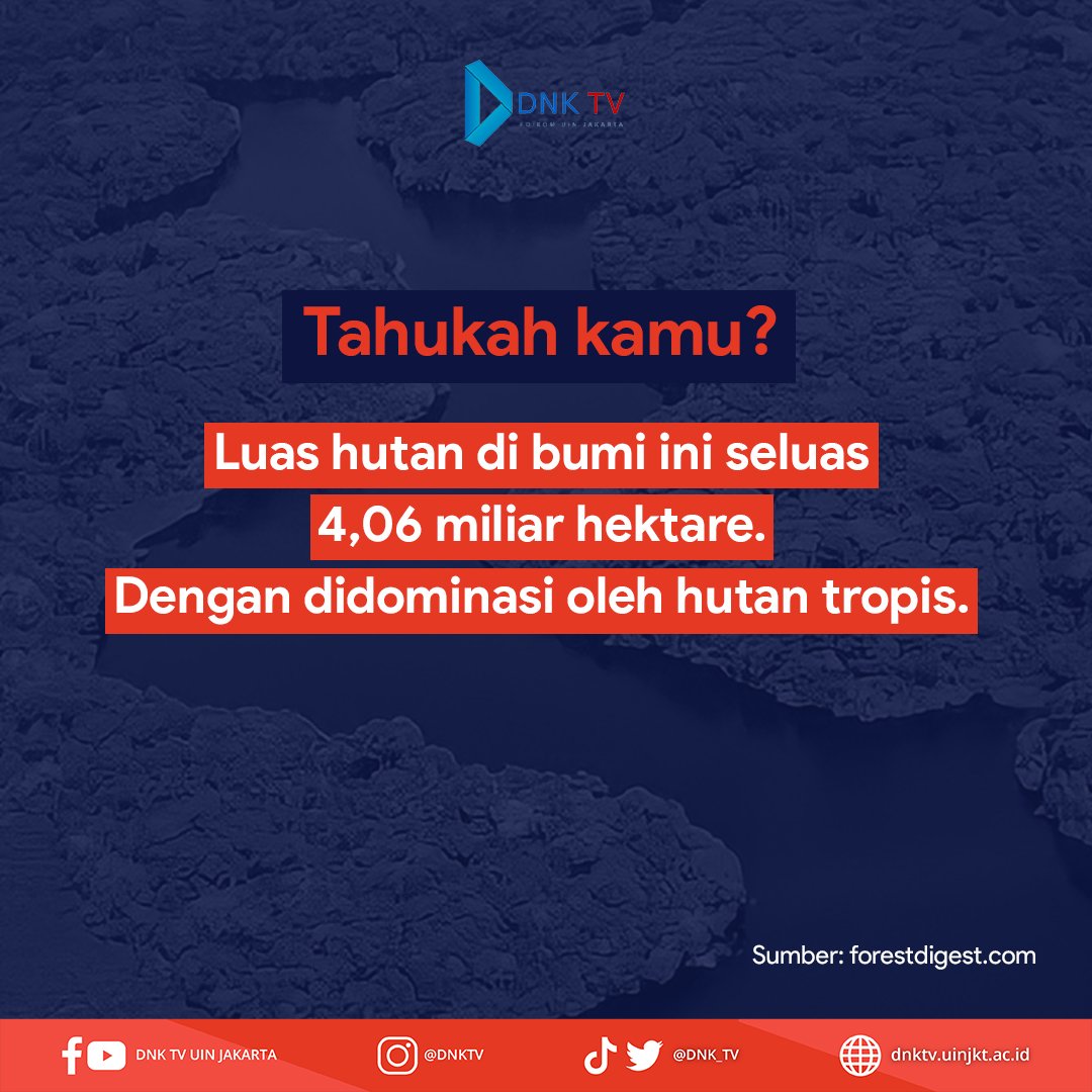 DNK_TV's tweet photo. Tahukah kamu? Indonesia tidak termasuk ke dalam negara yang memiliki hutan terluas padahal hutan di bumi ini di dominasi oleh hutan tropis.

#HariHutanSedunia #dnktv #dnktvuinjakarta https://t.co/vqv2vzrHUm