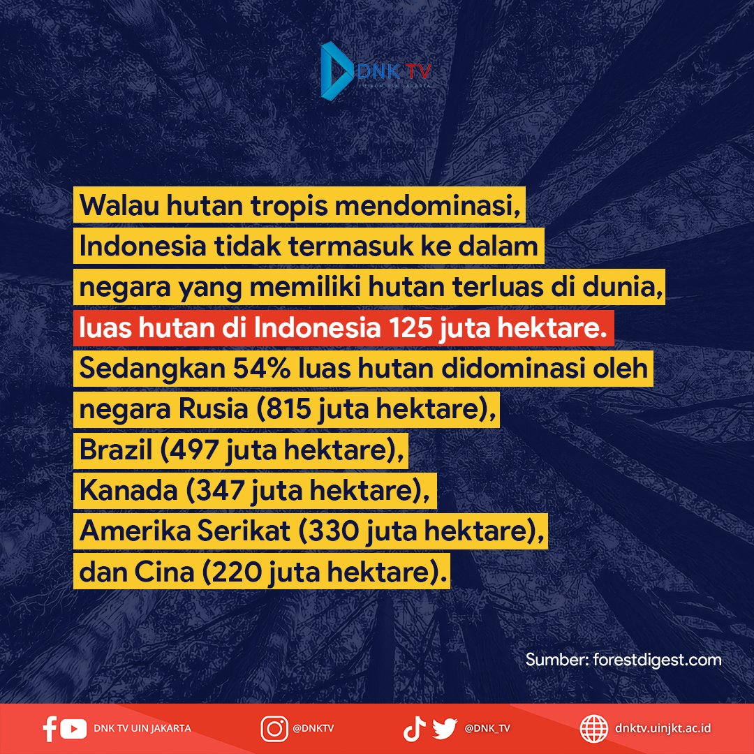 DNK_TV's tweet photo. Tahukah kamu? Indonesia tidak termasuk ke dalam negara yang memiliki hutan terluas padahal hutan di bumi ini di dominasi oleh hutan tropis.

#HariHutanSedunia #dnktv #dnktvuinjakarta https://t.co/vqv2vzrHUm