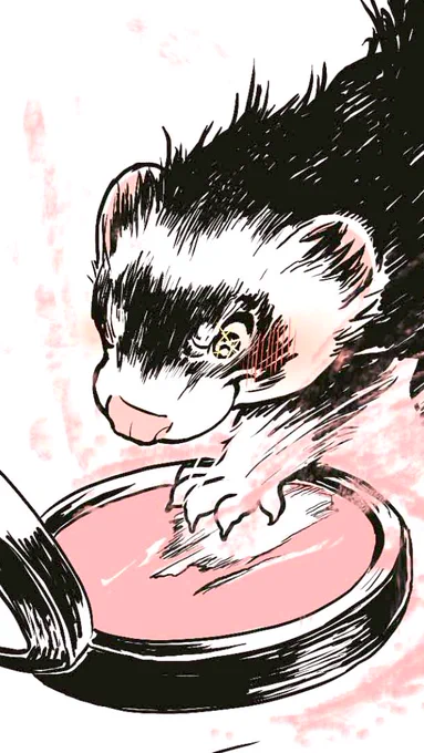 🐹💨💨フンフンッ✨✨ 