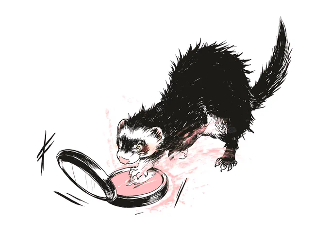 🐹💨💨フンフンッ✨✨ 