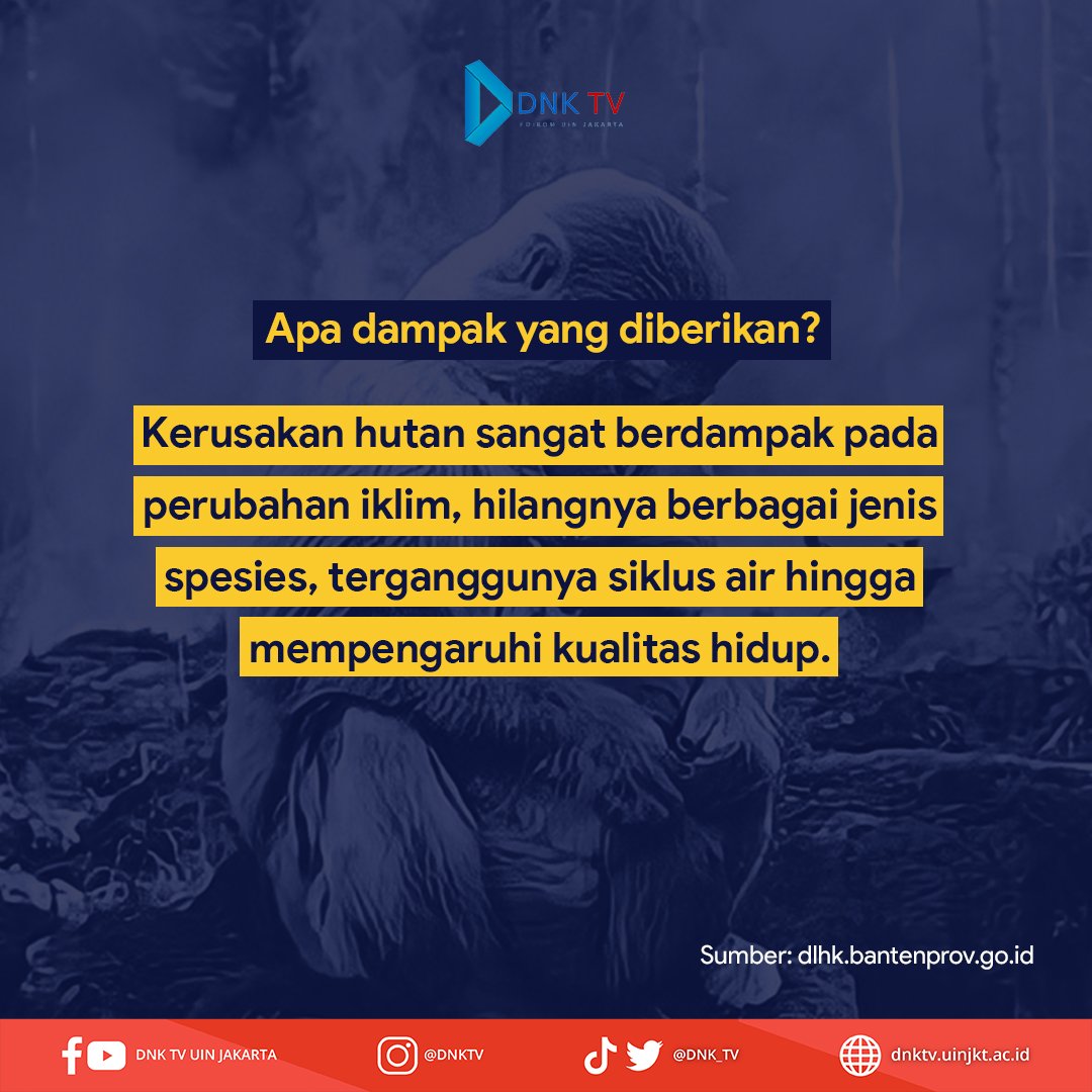DNK_TV's tweet photo. Yuk lestarikan hutan, 
Karena hutan adalah sumber kehidupan makhluk hidup di bumi, semakin banyak hutan yang hilang, kehidupan kita pun terancam sirna. 

#HariHutanSedunia #dnktv #dnktvuinjakarta https://t.co/XwC4jHyVGb