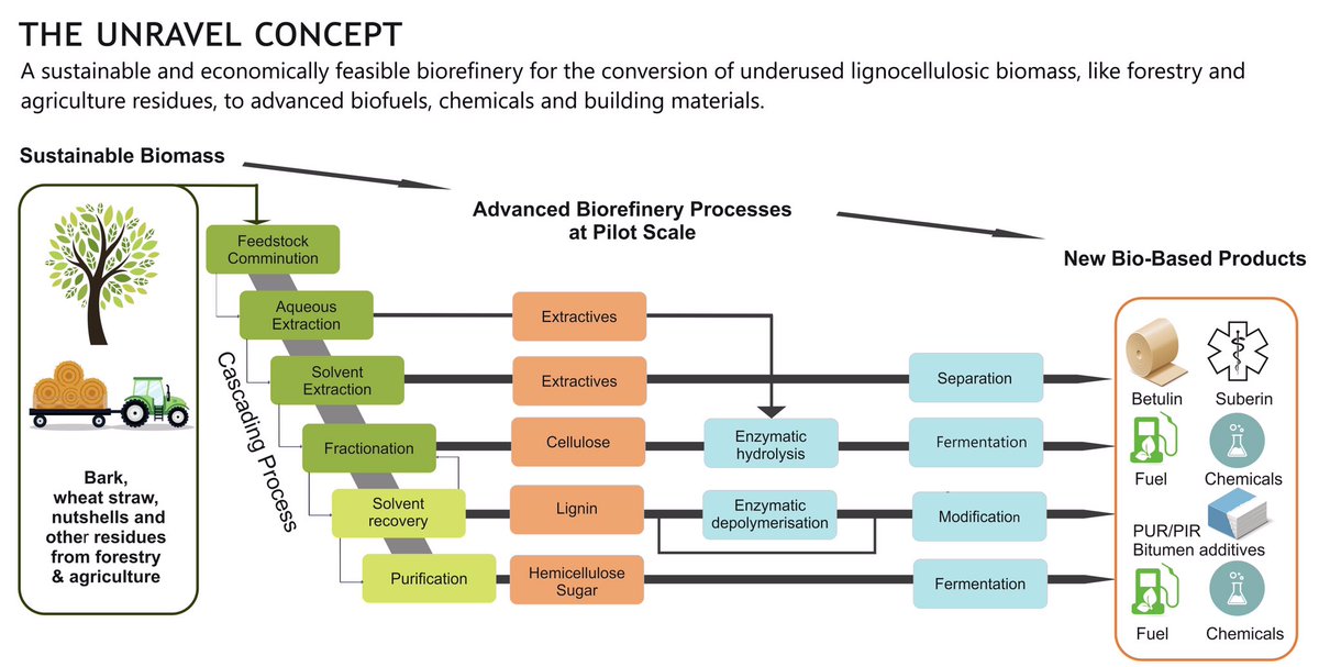 UNRAVEL_BBI's tweet photo. A growing European bio-based economy will result in a higher demand for biomass.

UNRAVEL works on a lignocellulosic biorefinery that uses forestry, agricultural and food residues to help avoid deforestation and cut biomass imports! #IntlForestDay 🌳
@UNEP @UNBiodiversity @EU_ENV https://t.co/E5gjjBEbGZ