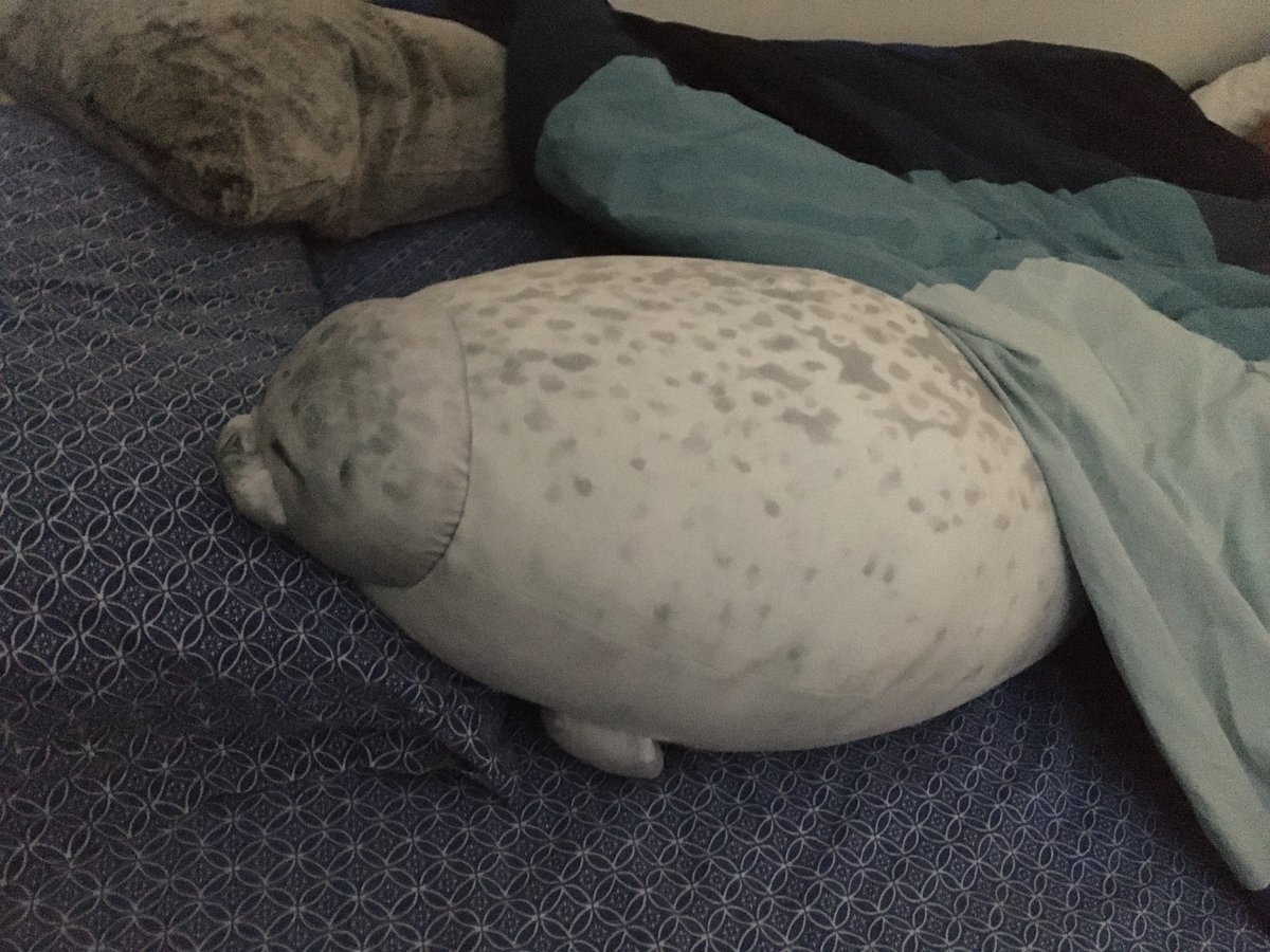 tinebeest's tweet photo. Hardest working seal on the planet imho: Arale-chan helped me sleep most of the night on my (right) side, without my left shoulder feeling like it might fall off. Approaching 9 weeks post-surgery.
Emotional support seal by day, #ShoulderSurgeryRecovery support seal by night! https://t.co/a4UNwsiNCH