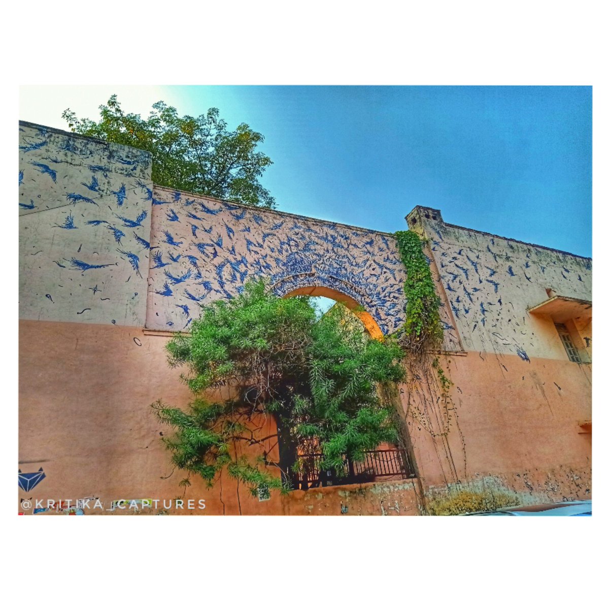 KritikaMishra10's tweet photo. Filling a space in a beautiful way 💙#photography #Lr_Vibrant #Ps_Express #Click #photography #Snapseed #Camera #Picture #Capture #photoshoot #photographylovers #uniquedelhi #MyPassion #canonphotography #nikonphotography #photographers #HappinessDay #Art #SoDelhi #Delhi https://t.co/Xy6vTgiurO