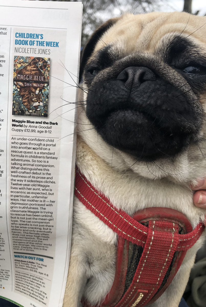 guppybooks's tweet photo. Hurray for @AGoodallAuthor - Maggie Blue and the Dark World is the Sunday Times Children’s Book of the Week! We are all so thrilled, thank you @NicoletteJones 💛💛💛 https://t.co/aj5oVkRTOm