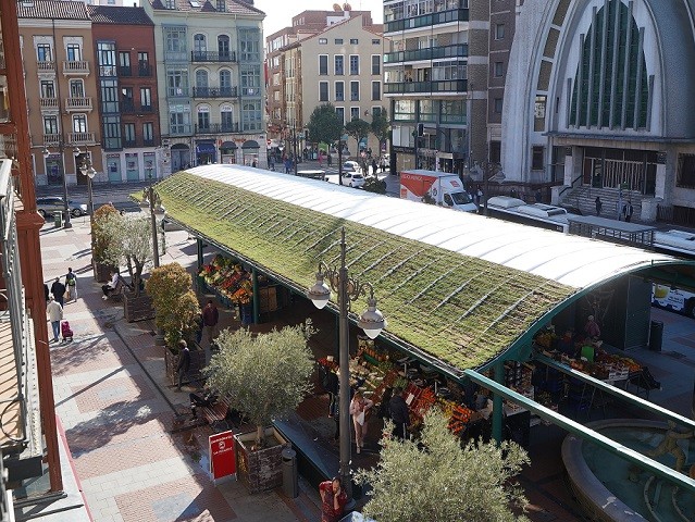 CARTIFCT's tweet photo. #ProyectosCARTIF ➡️ ¿Cuáles serán los siguientes pasos del proyecto @urbangreenUP en #Valladolid? ➡️
https://t.co/SofjJHEuxA https://t.co/NEXu0lK8pE