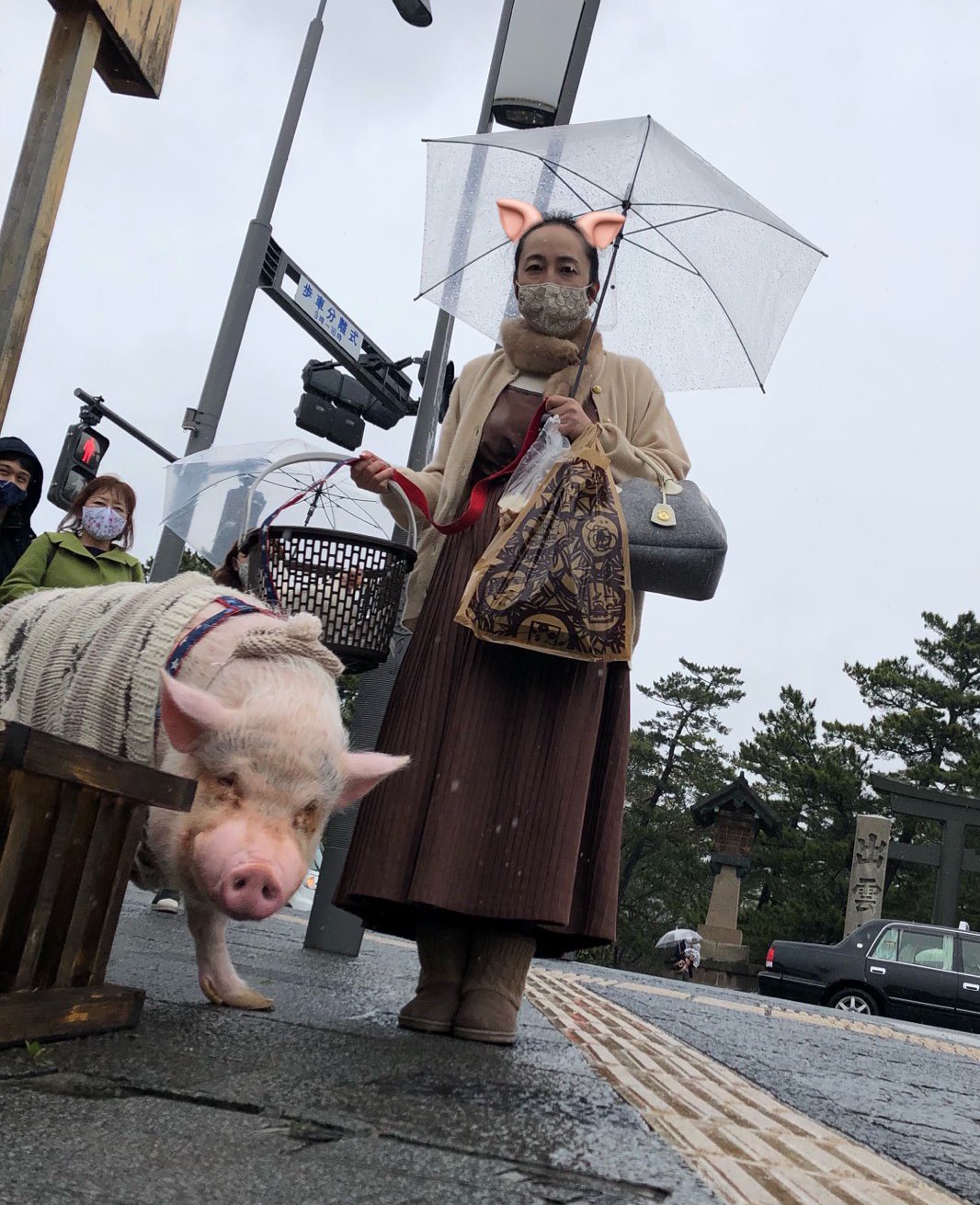 はやさきももたろう على تويتر 出張の前乗りで 一年ぶりの出雲 去年モモ君と来たことを覚えていてくれている方がたくさんいてビックリ