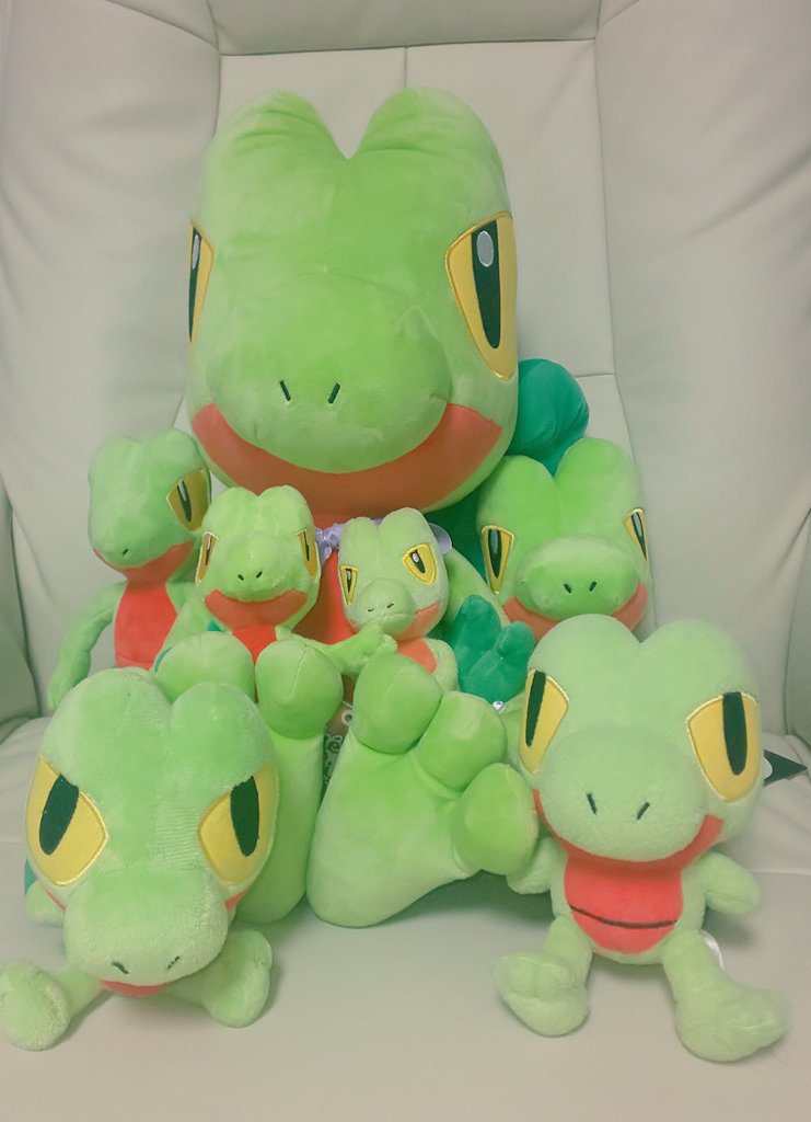 マラソンマン 持ってるキモリぬいぐるみ全部引っ張り出してきた 等身大とかキャンバスとかfitとかポケドールとか ちなみに1番長い付き合いなのは右下のpokedollのキモリ 03年からの付き合い このシリーズの12インチサイズとピカピカバッグに入って