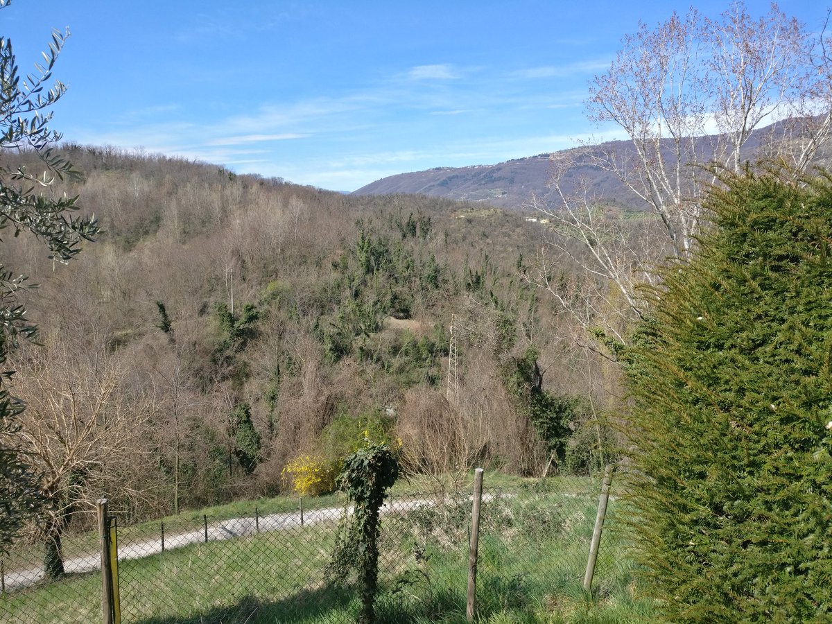 Alessandro Cecchin tweet media