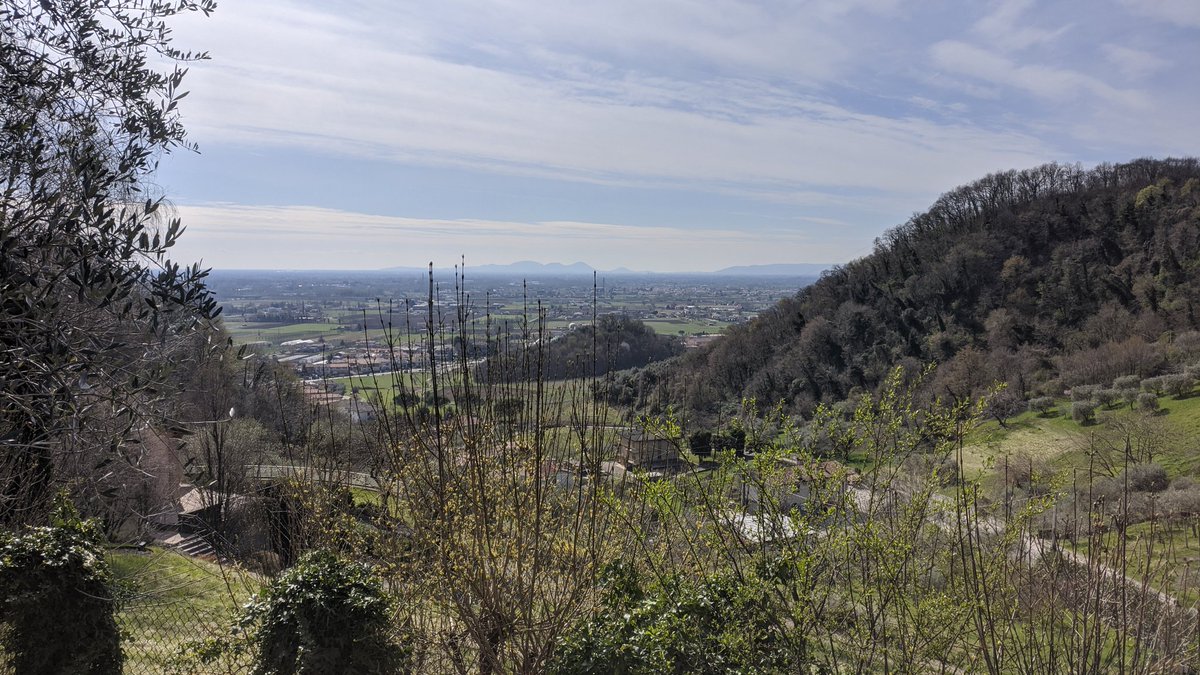 Alessandro Cecchin tweet media