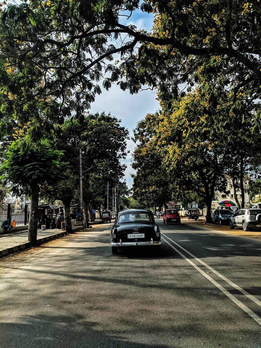 thinkbigh's tweet photo. ಐವತ್ತು-ಅರವತ್ತರ ದಶಕದ Mercedes Ponton ! #streetsofmysuru
#mysuru #mysore #vintage #vintagediaries #shotonpixel #teampixel
#MercedesPonton #mercedes https://t.co/kCzs0RggOp