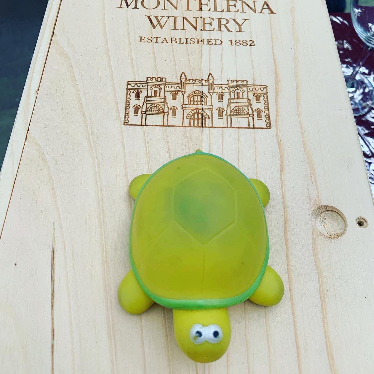 TravelinTurtle's tweet photo. Had a great afternoon, wine tasting. Thank you @farnientewinery @girardwinery @chmontelena  for your hospitality! #thisis40 #birthdaytrip #anotherbraveadventure #travelinturtle #winetasting🍷 #drunkturtle #limo https://t.co/XxBnMkG5sk