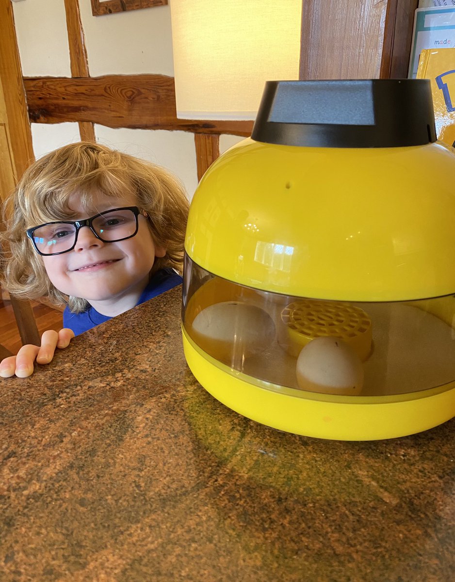 LauraTrevor3's tweet photo. Science Sunday, Rupert has learned how to, ‘candle’ eggs to determine fertility. Rupert then helped to set up the incubator and transfer the duckling eggs very carefully in to the incubator, recording the temperature and date. #SJSBScienceSelfie @MissKeiley @whalley_mr @FarmSjsb https://t.co/HLf1m4XQOj