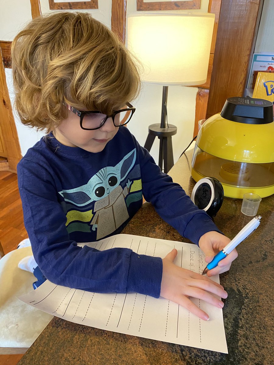 LauraTrevor3's tweet photo. Science Sunday, Rupert has learned how to, ‘candle’ eggs to determine fertility. Rupert then helped to set up the incubator and transfer the duckling eggs very carefully in to the incubator, recording the temperature and date. #SJSBScienceSelfie @MissKeiley @whalley_mr @FarmSjsb https://t.co/HLf1m4XQOj
