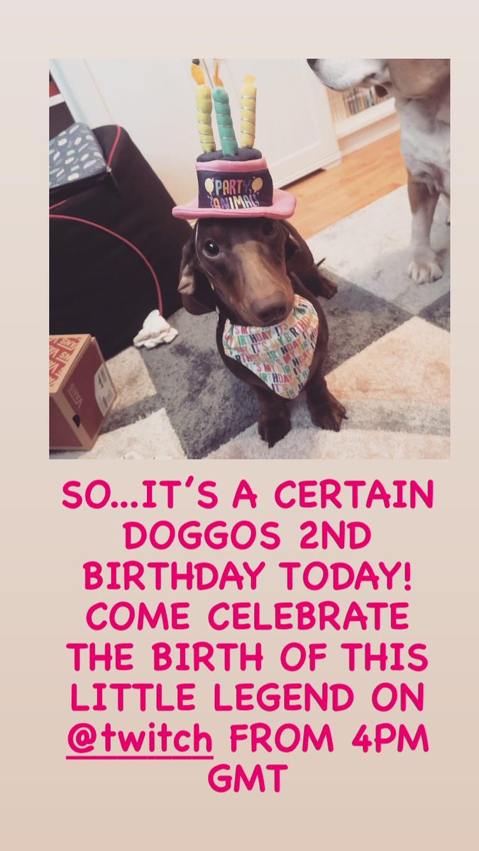 duchessweaves's tweet photo. Cos furbaby birthdays matter too!Come celebrate with us from 4pm GMT! 💜🐾
@SupportStreamz @Streamboosts @Game4streamers @rtsmallstreams @StreamerNetwork @sme_rt @StreamerWall @StreamersRtw @FairgroundO @twitchpromoters @GirlStreamers 

https://t.co/YKdlbTID19 👑 https://t.co/ImNGs7oHWk