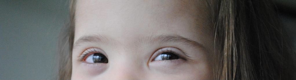 Terry Gragera tweet media